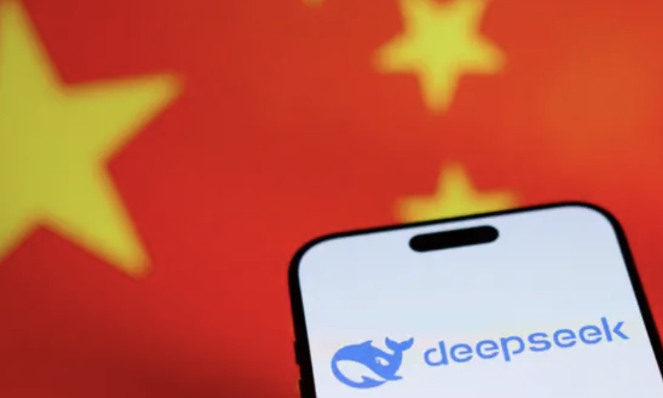 딥시크(DeepSeek)란 무엇인가? 장단점 분석
