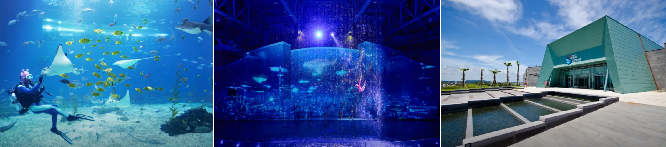 제주 아쿠아플라넷 외부와 실내 사진