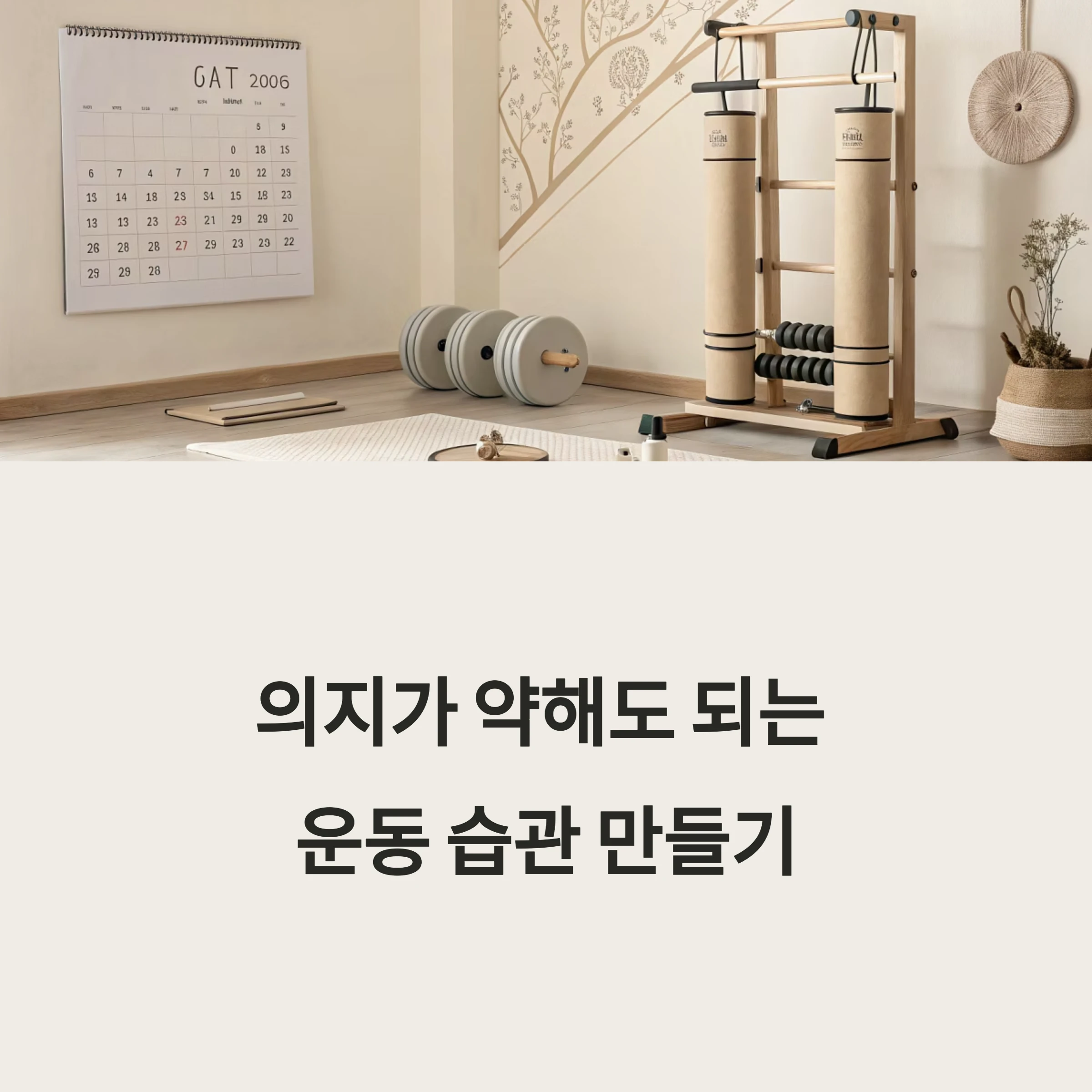 운동습관