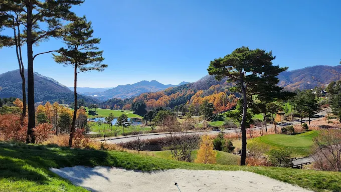 홍천 '세이지우드 컨트리클럽' 골프장 소개 및 예약방법