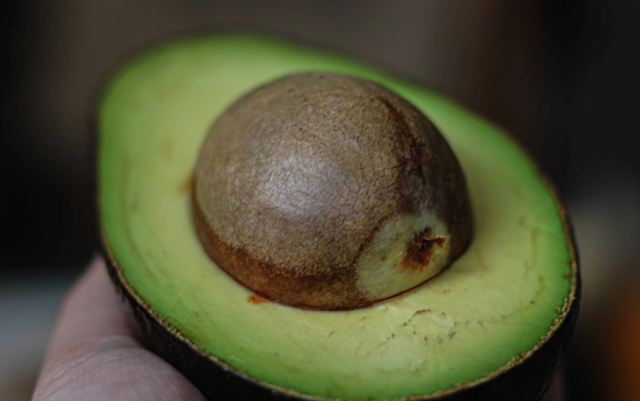 아보카도오일 효능