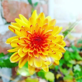 결빙 예보 수도 동파 예방 배관 보온 양동이 준비_21