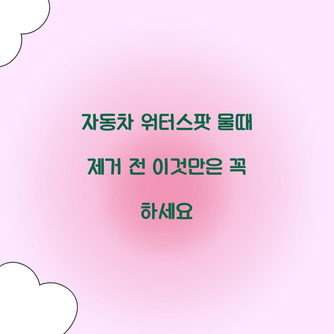 자동차 워터스팟 물때 제거 전 이것만은 꼭 하세요