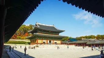 창덕궁 봄 꽃 개화 시기 근처 맛집 10선_18