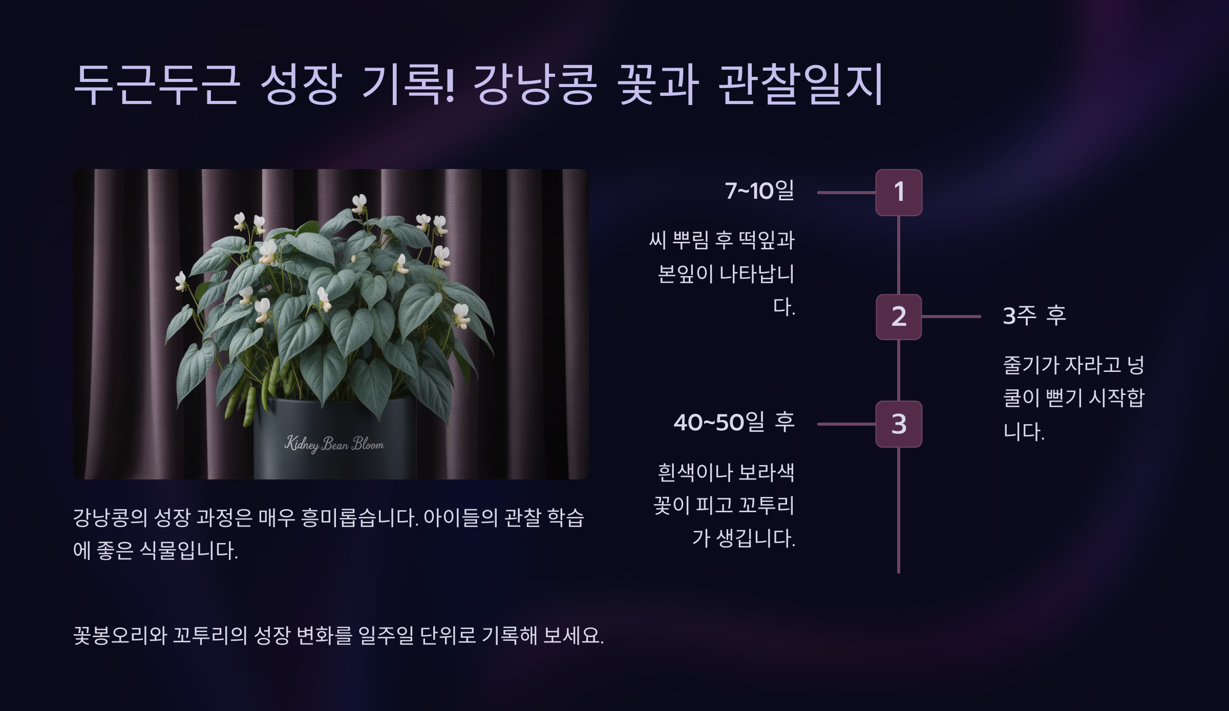 두근두근 성장 기록! 강낭콩 꽃과 관찰일지 🌺