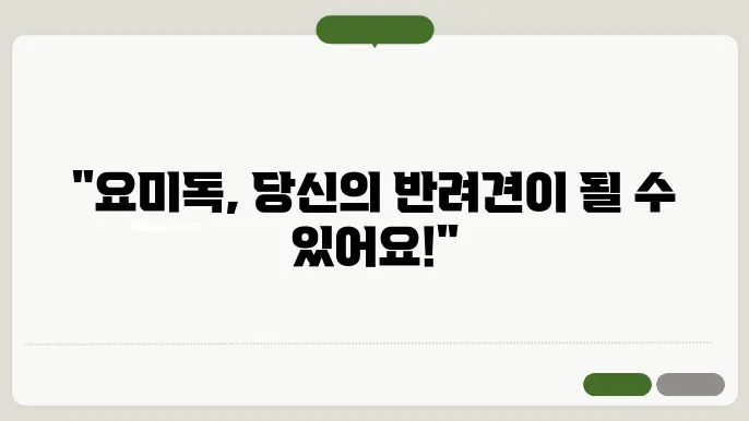 부산강아지무료분양 요미독