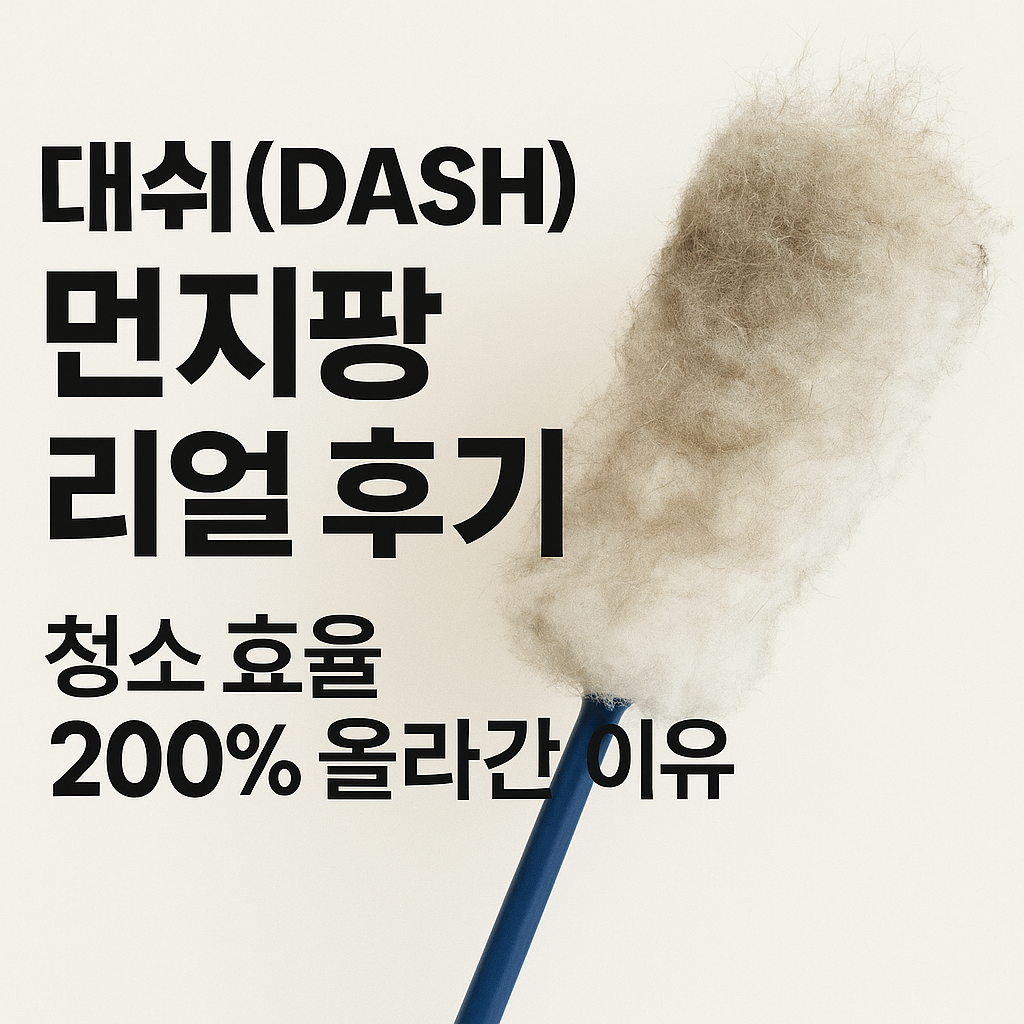 대쉬(DASH) 먼지팡 내돈내산 리얼 후기