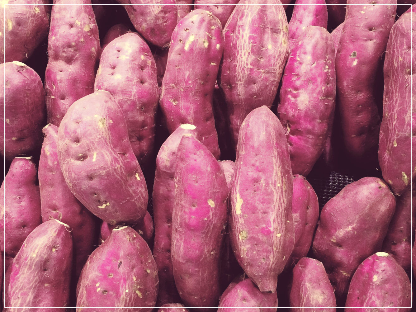 슈퍼푸드, 고구마의 효능, 효과, 부작용, 먹는법