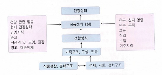 식생활에 영향을 미치는 여러 요인