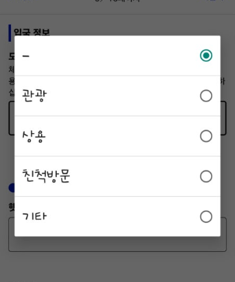 12. 비짓재팬 등록 방법 입국심사 및 세관신고 입국정보