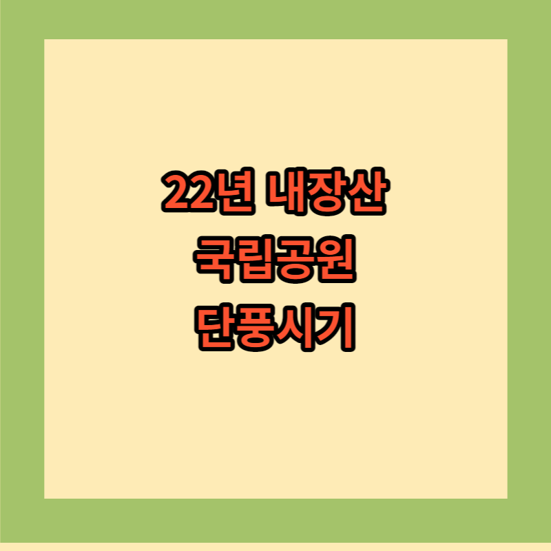 22년 내장산 국립공원 단풍시기