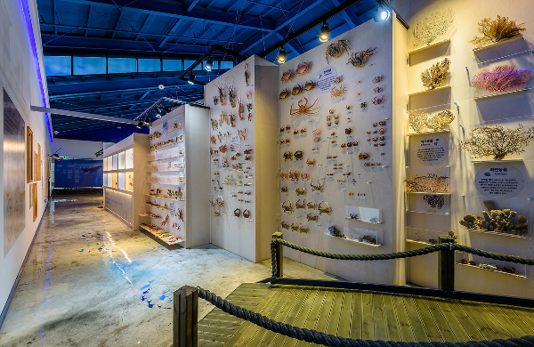 제주해양동물박물관 내부모습