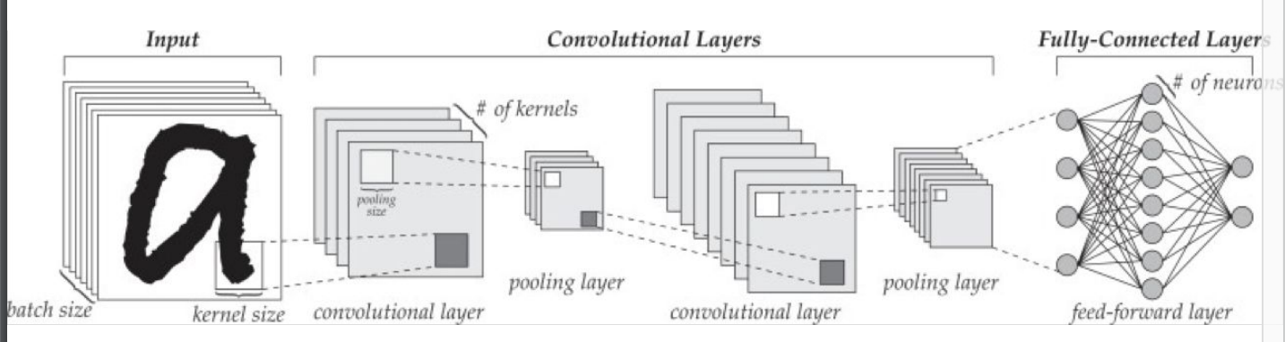19. Convolutional Neural Network