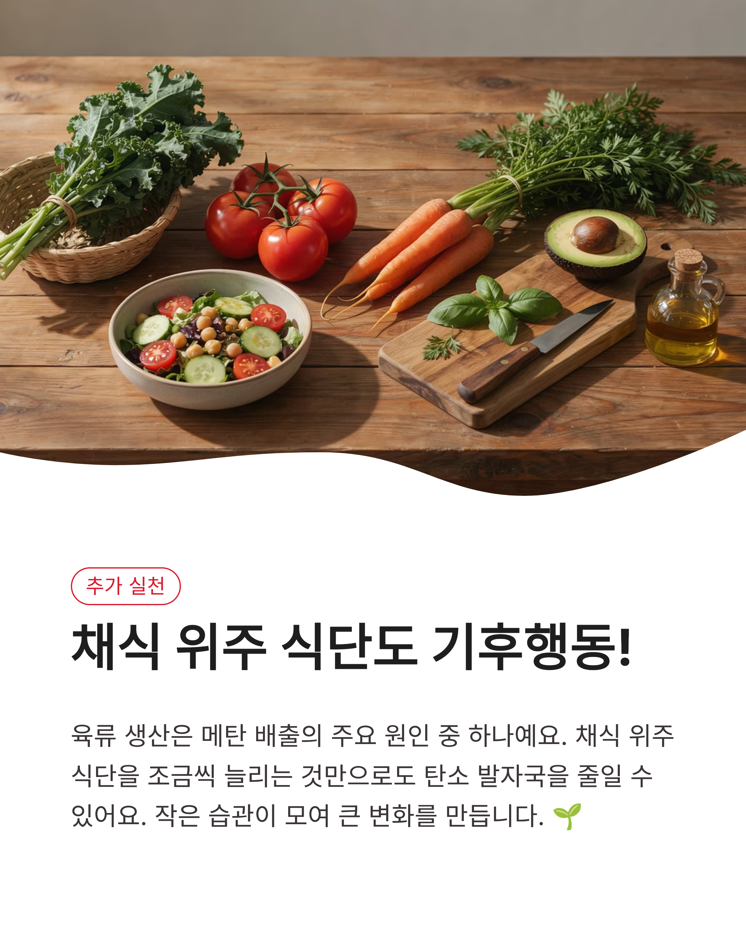 7월 15일 기후동행(기후행동) 퀴즈정답 완벽정리!!