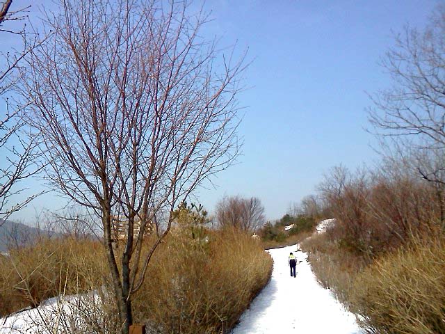 홍제동 고은산 하얀풍경