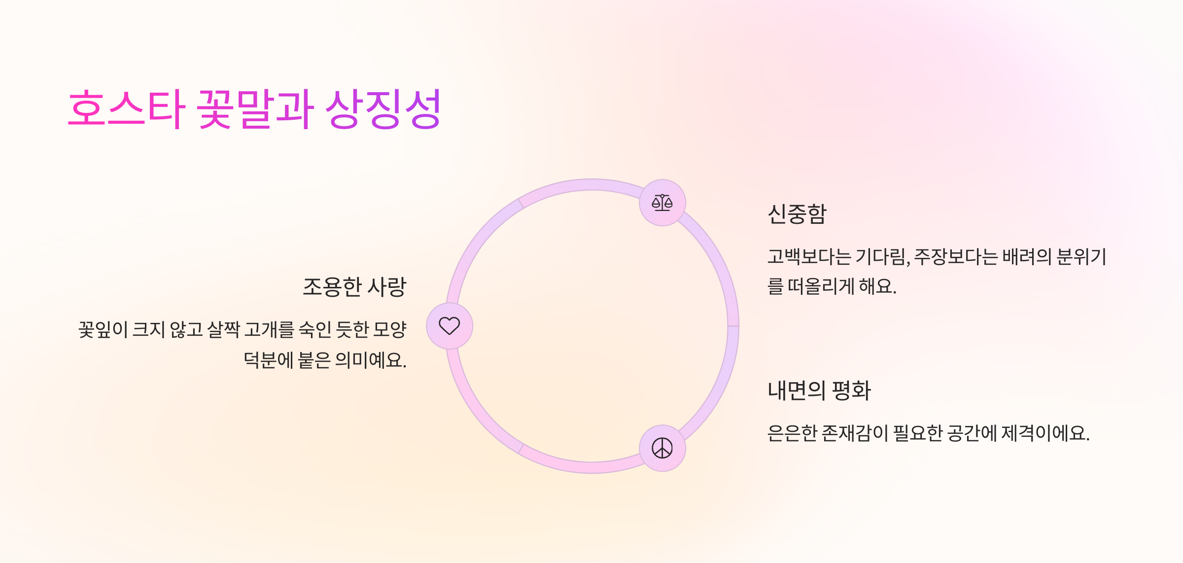 호스타