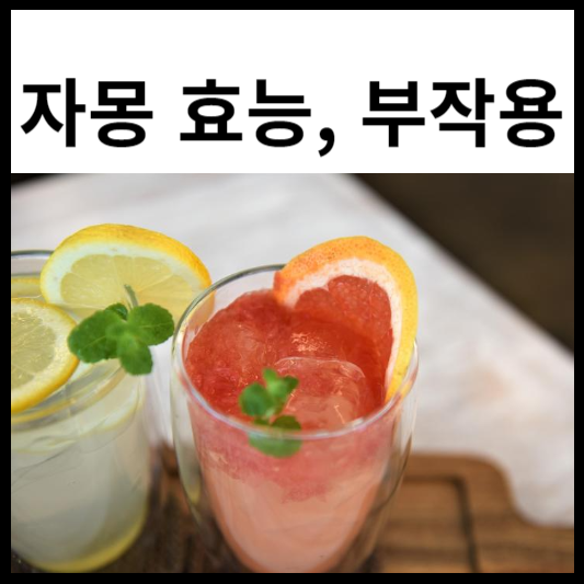 자몽 효능 및 부작용