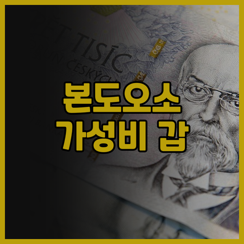 본도오소 Dreamland Hotel..