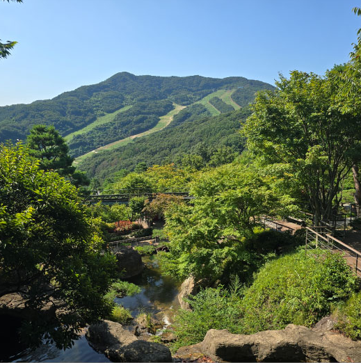 화담숲 모노레일 예약 예매