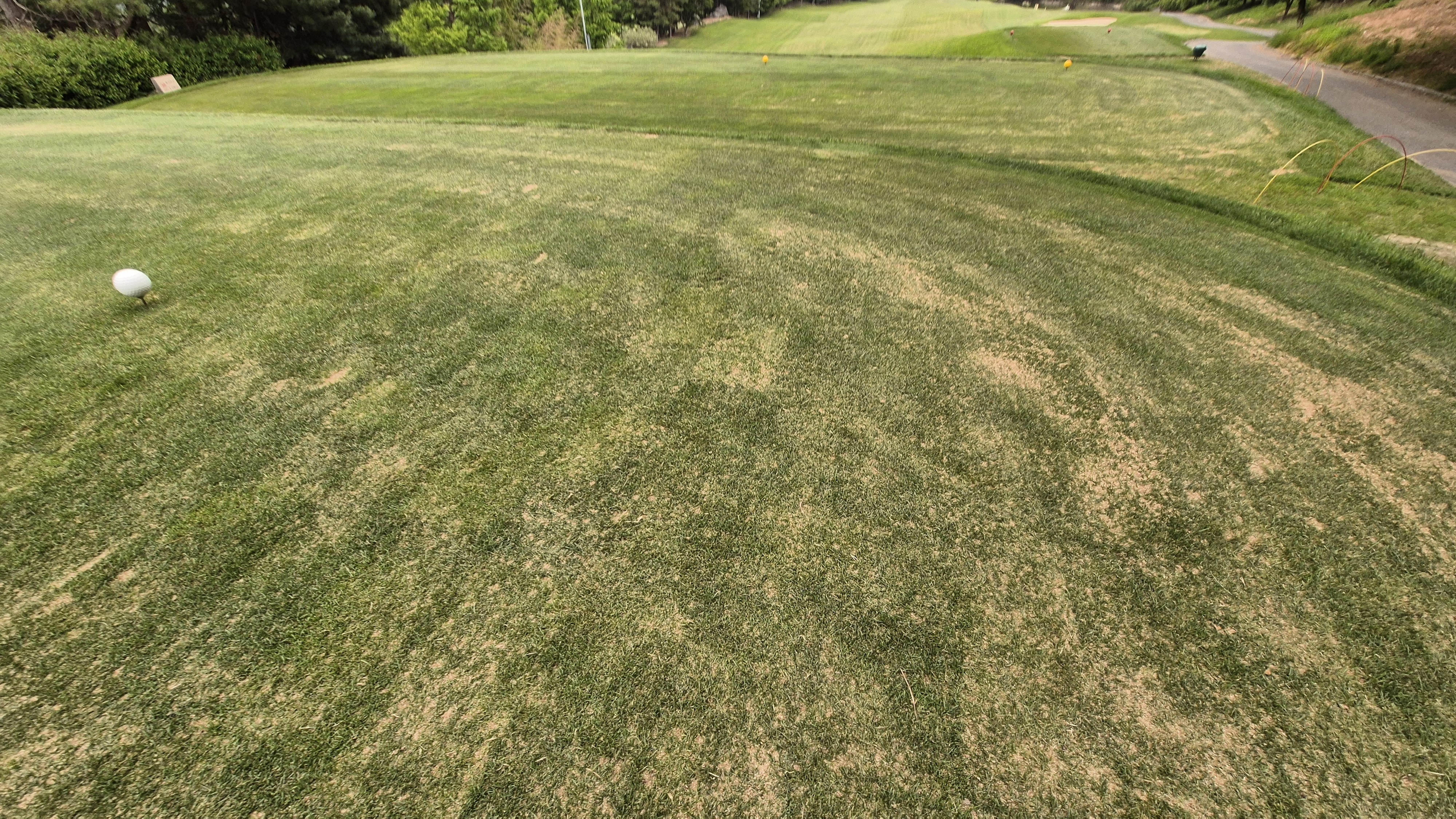 이포cc 라운드 후기