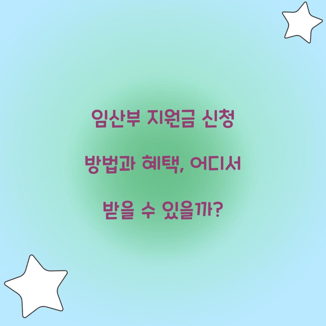 임산부 지원금