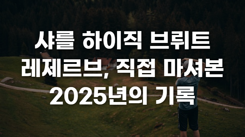 샤를 하이직 브뤼트 레제르브 사진 1