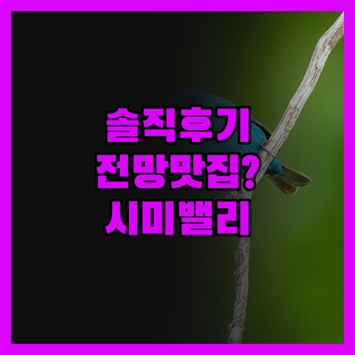 그랜드 비스타 호텔 시미 밸리, 전망