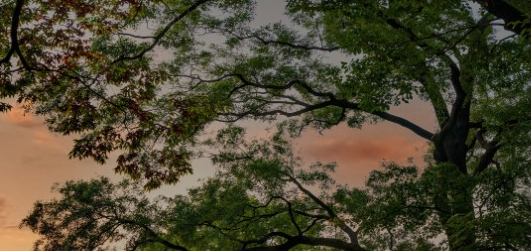 경복궁 야간개장 인터넷예매