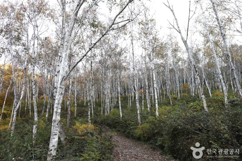 양평 가볼만한곳 베스트10