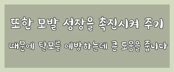  또한 모발 성장을 촉진시켜 주기 때문에 탈모를 예방하는데 큰 도움을 줍니다