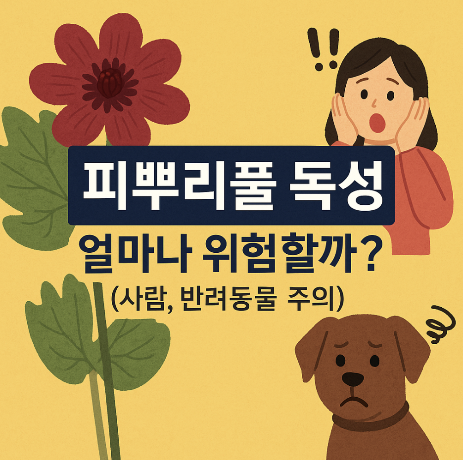 피뿌리풀 독성, 얼마나 위험할까? (사람, 반려동물 주의)