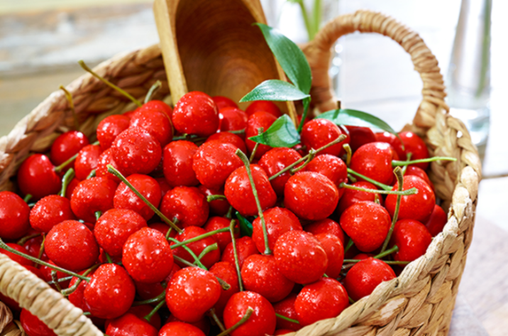 타트체리 부작용 효능