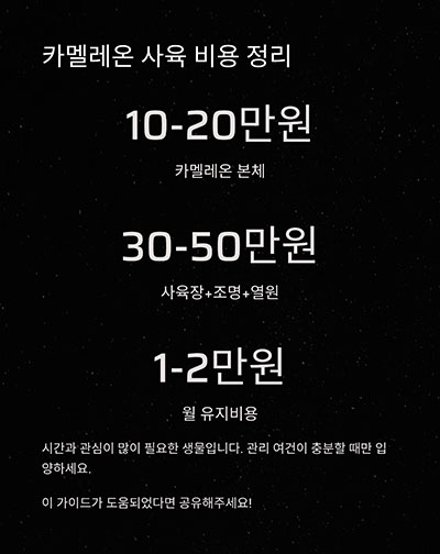 키우는 데 드는 비용