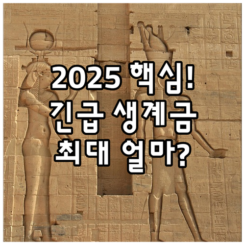 2025 긴급복지 생계지원 신청 절차..