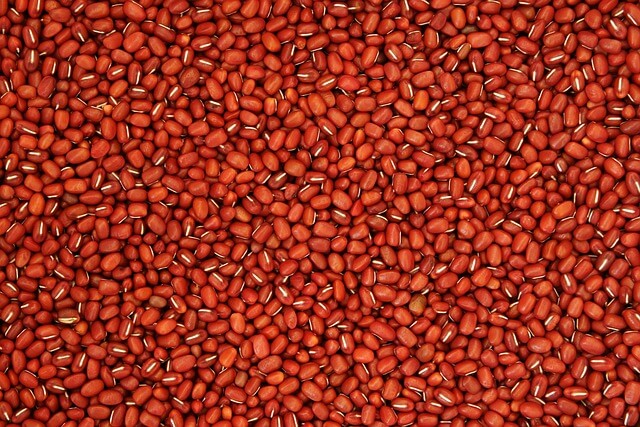 팥 효능&amp;#44; 부작용&amp;#44; 삶는법&amp;#44; 보관방법&amp;#44; 섭취방법 총정리