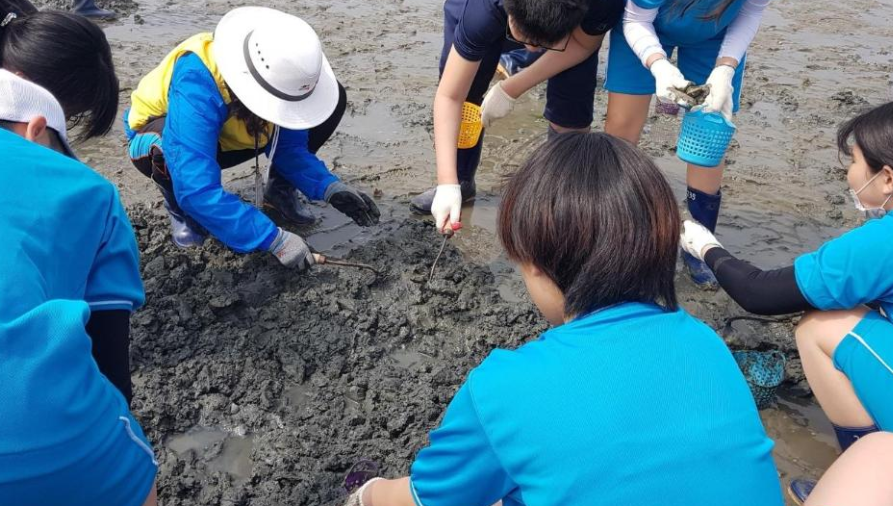 경기 시흥 오이도 갯벌체험 정보 안내