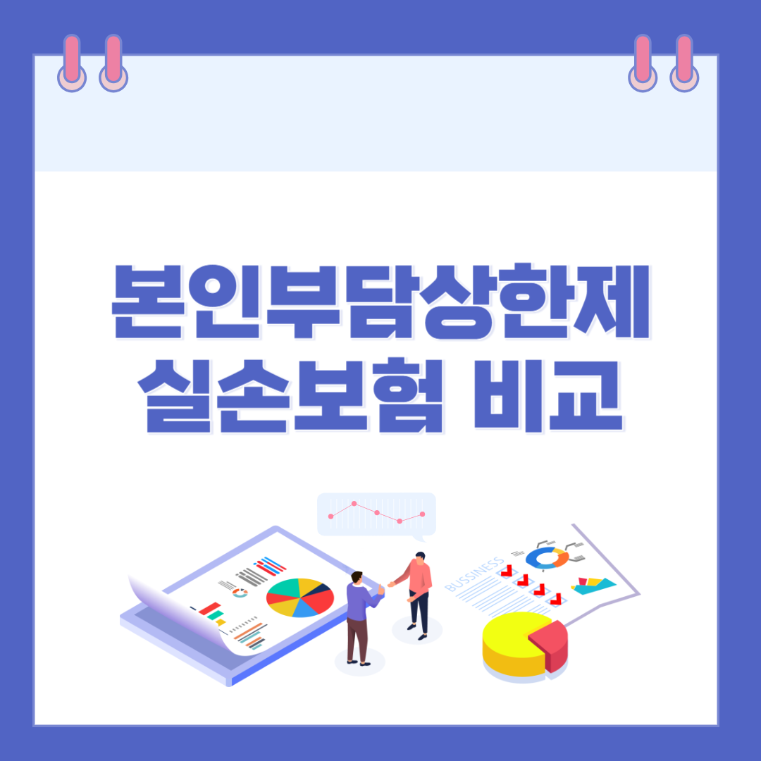 본인부담상한제와 실손보험 비교, 나에게 유리한 선택은? 관련 이미지