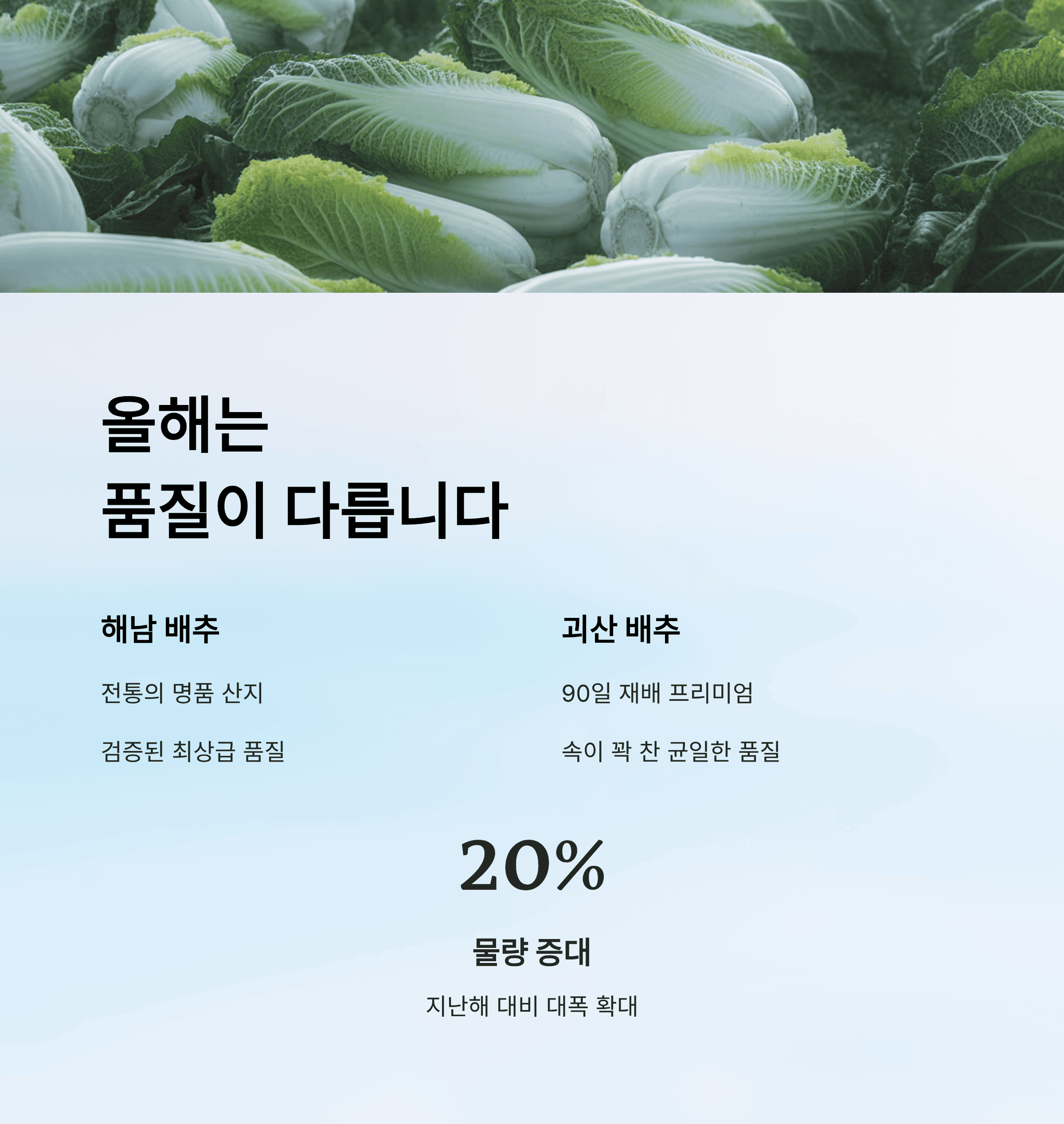 홈플러스 절임배추 사전예약, 2만원대 특가