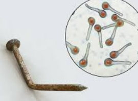 파상풍의 위험성