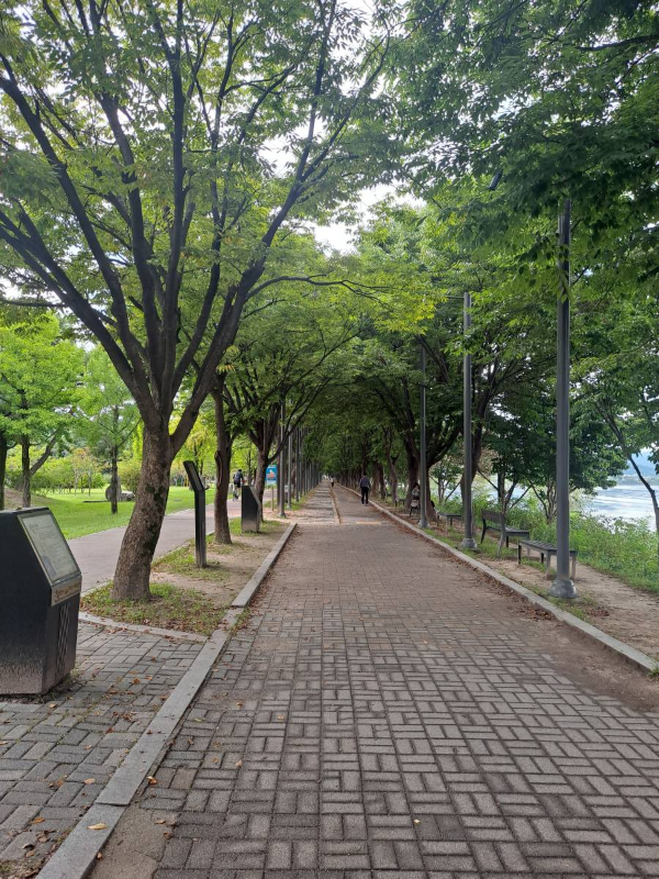 춘천 의암공원 직선산책로