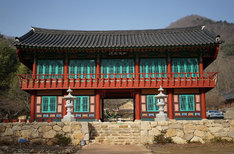 보성 다향대축제 보성 녹차축제