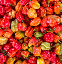 신장에 좋은 음식과 나쁜 음식