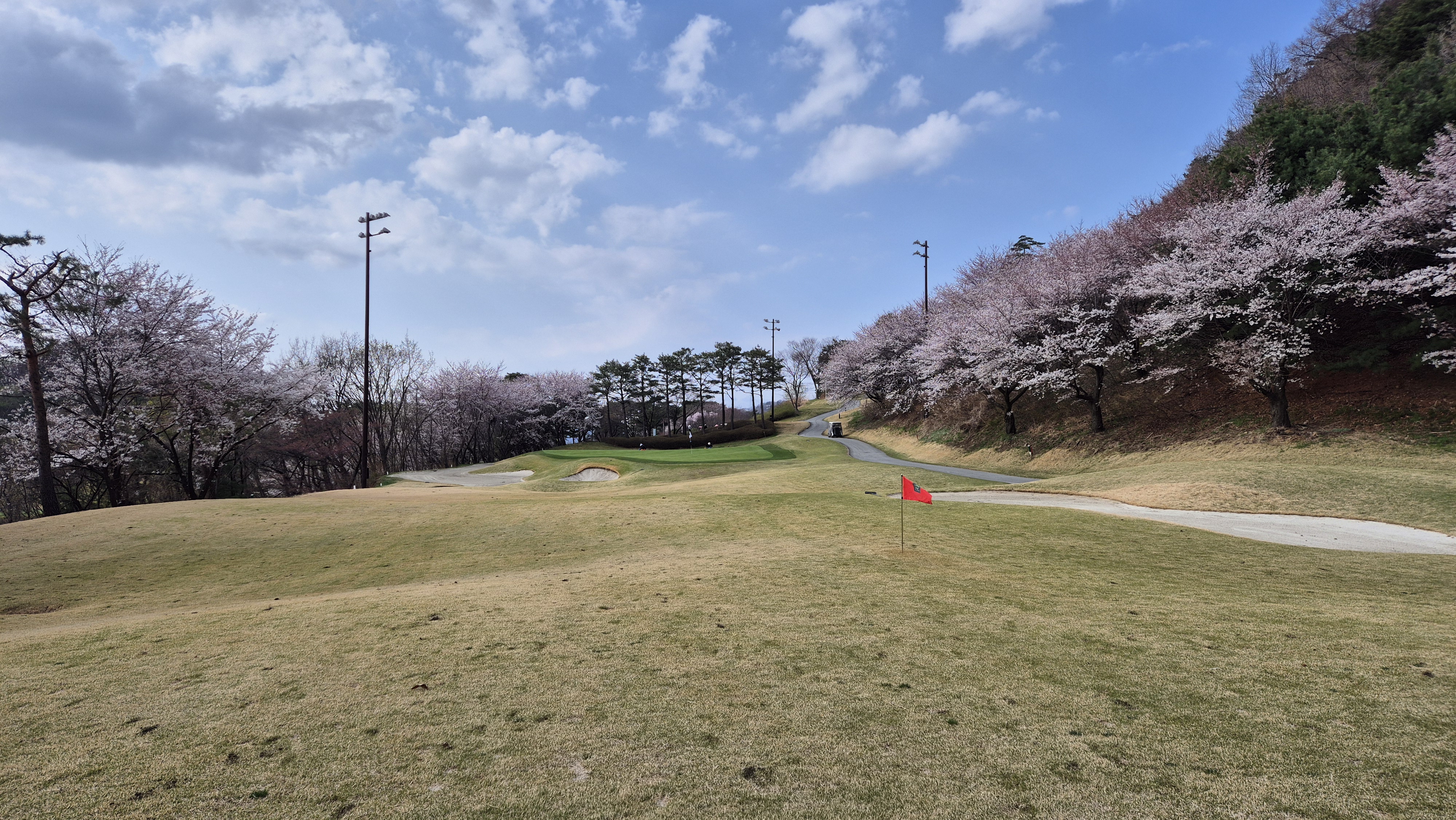 안성베네스트gc 동-남 코스 사진 및 공략 정보