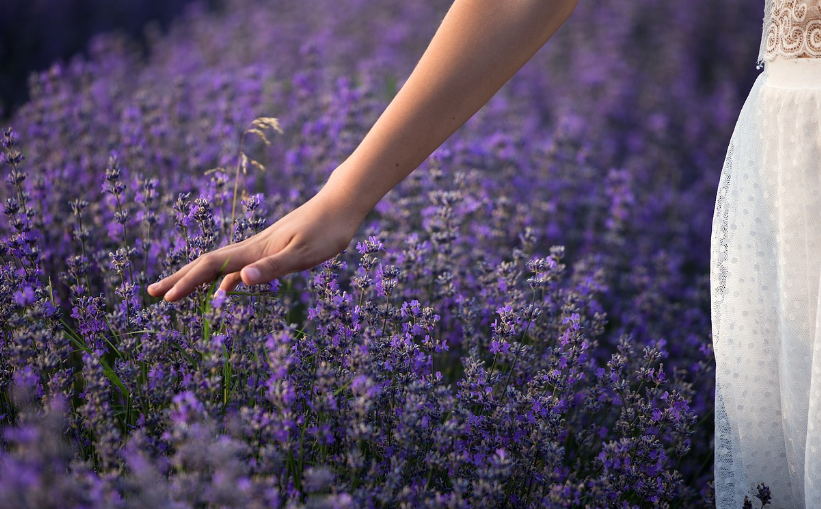 기초생활수급자 생계급여 지급일