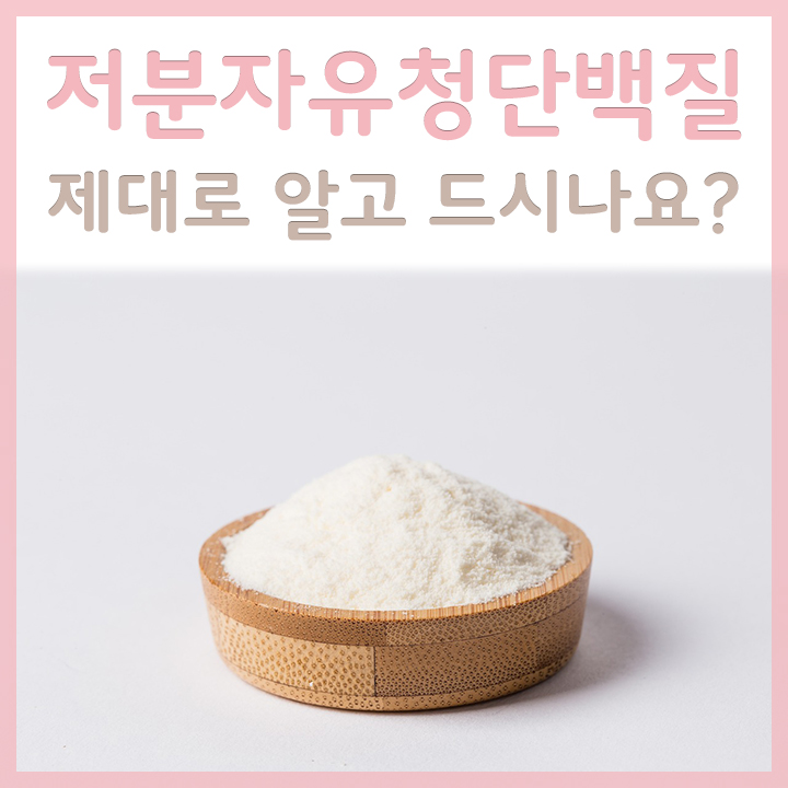 저분자유청단백질을-담은-그릇