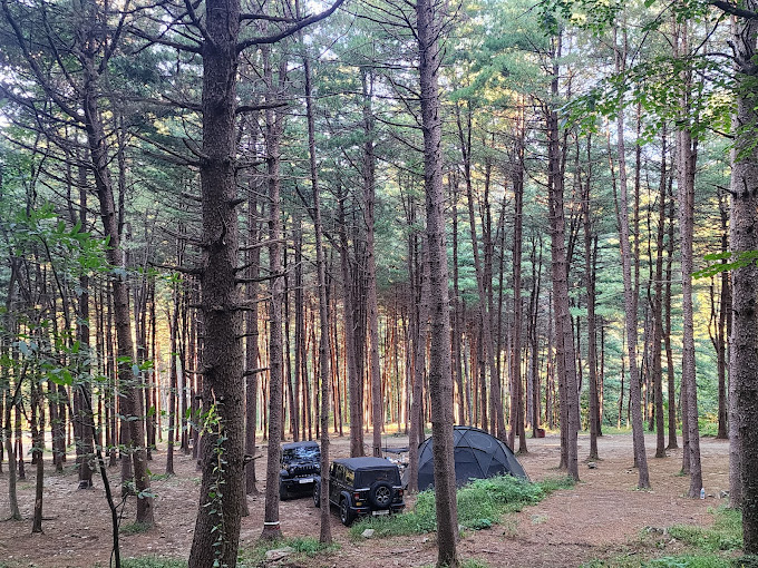 남양주 숲속캠핑, 팔현캠프 미리보기