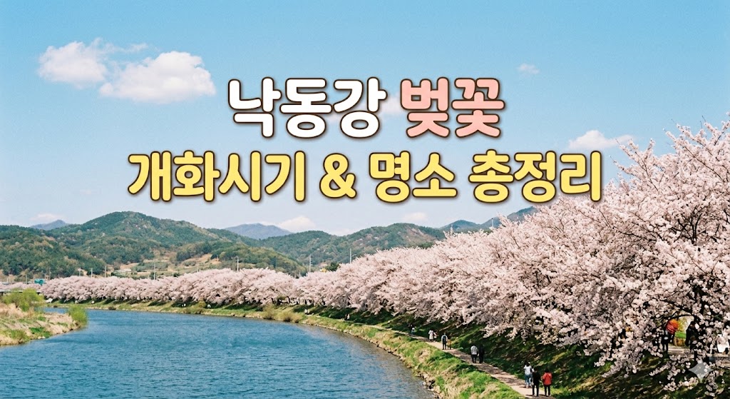 낙동강 벚꽃 명소