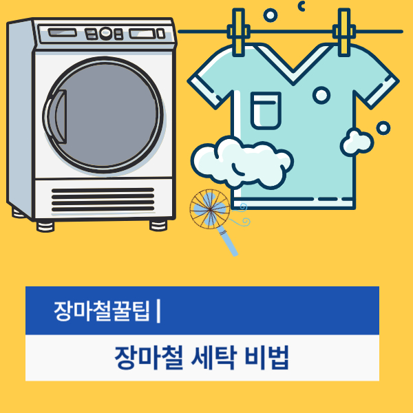 장마철 꿀팁