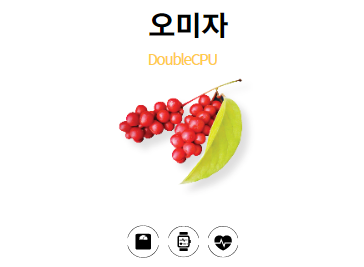 오미자란?
