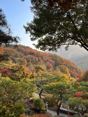 화담숲 예매